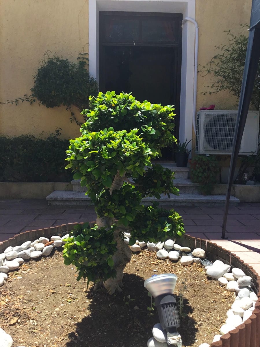 hotel_nymph_img_2845