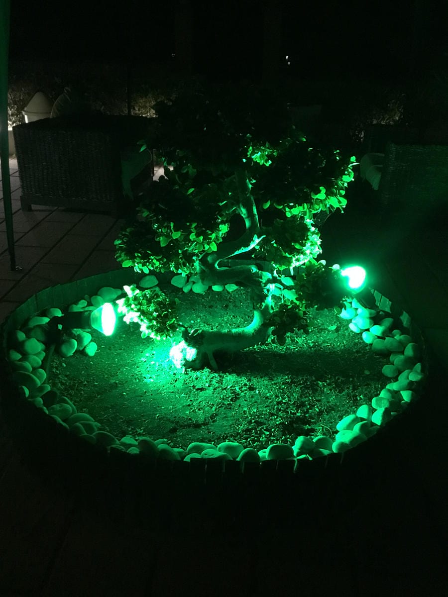 hotel_nymph_img_2961