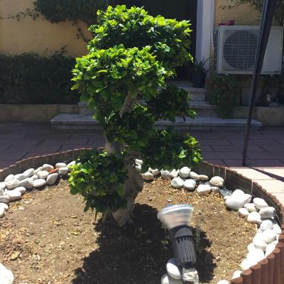 hotel_nymph_img_2845 hotel_nymph_img_2845